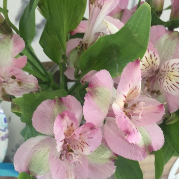 Meet your Posher, Jennifer - Picture 1 of 1